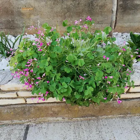 2 Apartament Zadar